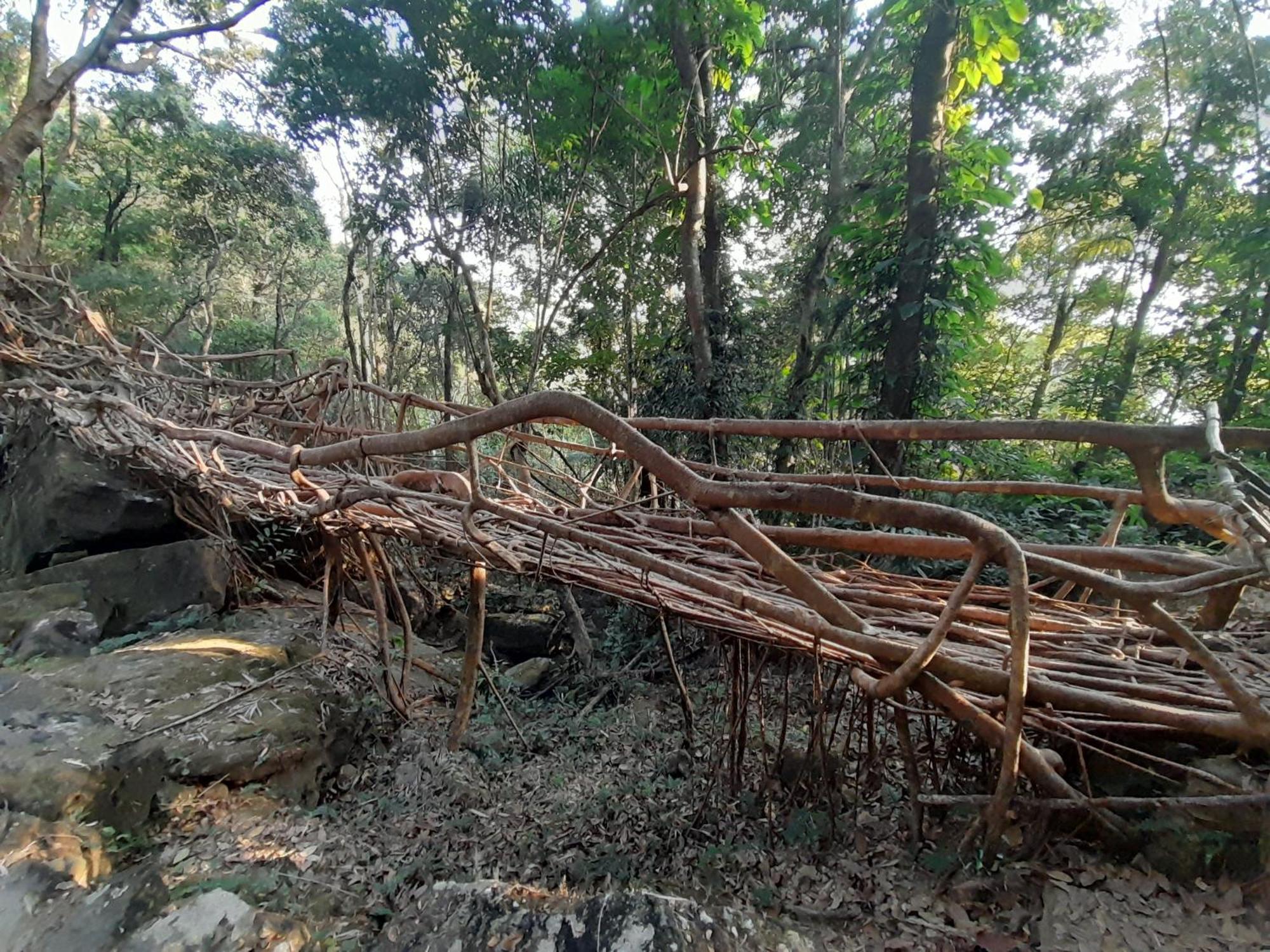 Living Roots Lodge Cherrapunji Exterior foto